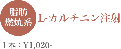 L-カルチニン注射