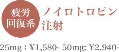 アリナミン(にんにく)注射